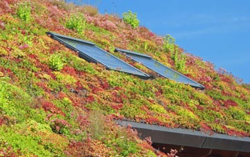 East Portholland living roof systems